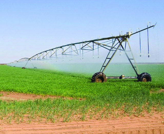 Allocate green schemes to regional councils &ndash; Swapo think tank