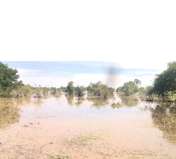 Flood arrives in Oshana region