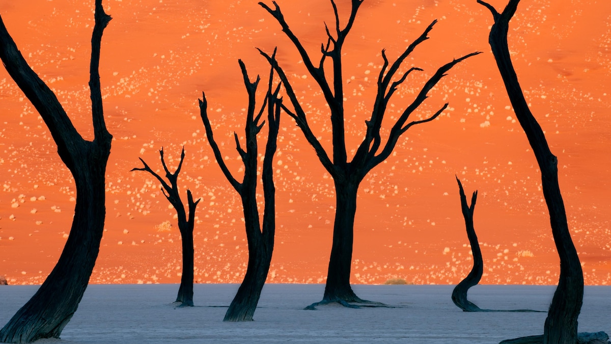 Namibia Travel Guide