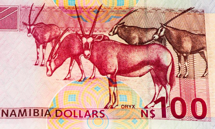 Namibian Central Bank: Bitcoin Purchases Illegal Under Law